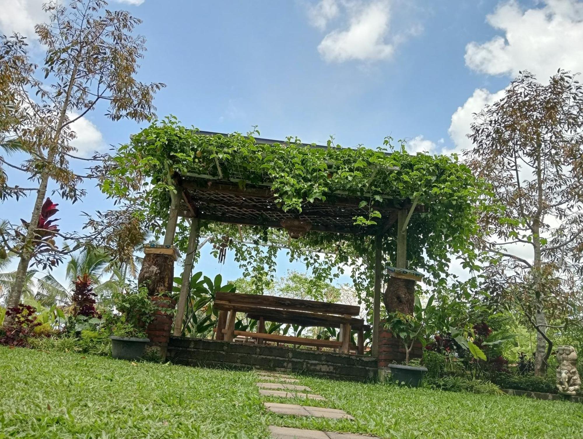 Sekumpul Bali Hidden Space Singaraja Екстериор снимка